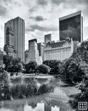 VIEW OF THE PLAZA HOTEL FROM CENTRAL PARK (B&W)