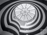 Guggenheim Interior IV