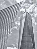 View Of One World Trade Center (B&W)