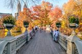 Ghosts of Bow Bridge