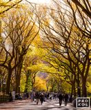 Poets walk in autumn