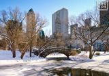 Gapstow Bridge in Winter, Central Park