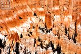 Bryce Point Landscape II