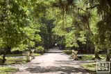 Jardim Botanico Landscape with Urns, Rio De Janeiro
