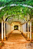 Jardim Botanico Covered Path, Rio De Janeiro