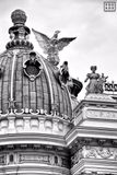 Theatro Municipal Cupola, Rio De Janeiro (B&W)