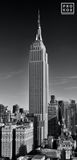 Panoramic View of the Empire State Building (B&W)