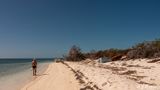 Cuban Chugs, Marquesas Keys  20