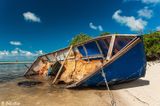 Cuban Chugs, Marquesas Keys  21b