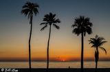 Sunset Hollywood Beach  23-4