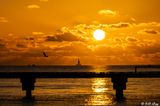 Sunset Higgs Beach Pier  23-24