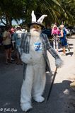Cow Key Bridge Hop --- Conch Republic Independence Celebration  17