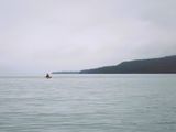 Foggy Start from Bowman Island