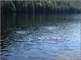 Desolation Sound 2025 (33).jpg