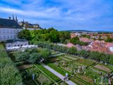 The Rose Garden