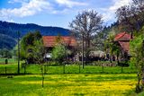 Spring in the Valley