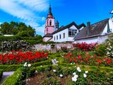 Rosengarten und Kirche St.Peter und Paul