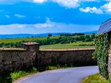 Blick nach Schlo Johannisberg
