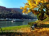 Goldener Oktober..