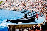Sea World 