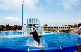 Sea World 