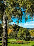 Romantic Moselle Valley