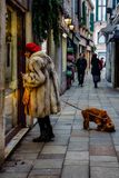 Signora and her dog