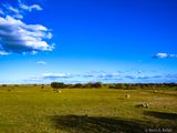Countryside