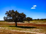 Country sight