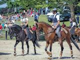 At the Horse Fair