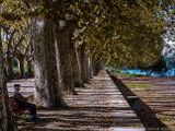 Autumn in your life...