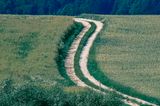 Feldweg