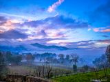 Evening Mist 