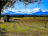 View to the Pyrenees