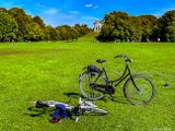 Englischer Garten