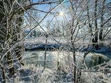 Frozen