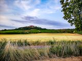 Landschaft