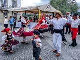 Folklore dancer