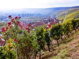 View to Escherndorf