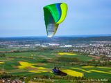 Gliding into Spring