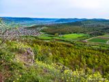 Landschaft