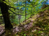 Wanderweg