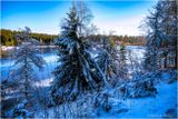Winter Wonderland