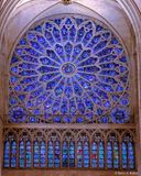 South rose window
