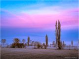 Foggy morning