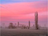 Misty morning