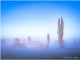 One morning in Bavaria