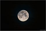 Pink Full Moon