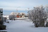 Hoar Frost Jan 12 2023