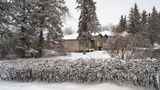 Snow Day